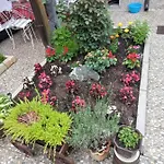 Accordeon Appartement *