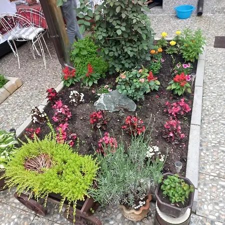 Accordeon Apartmán *